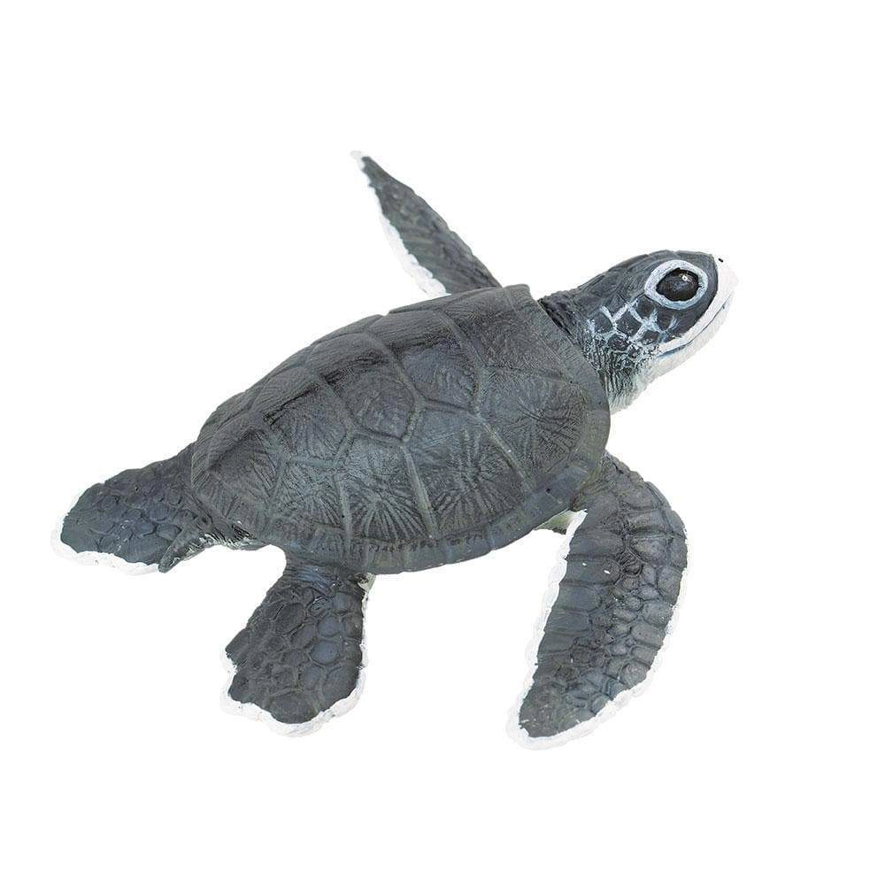 Safari Ltd. - Sea Turtle Baby Kids Toy Figure