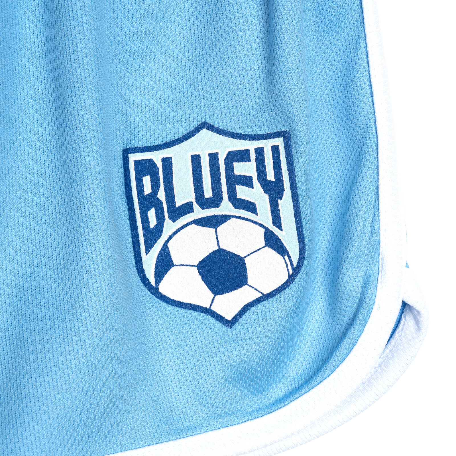 Bluey Girls' Athletic 2-Piece T-Shirt and Shorts Set