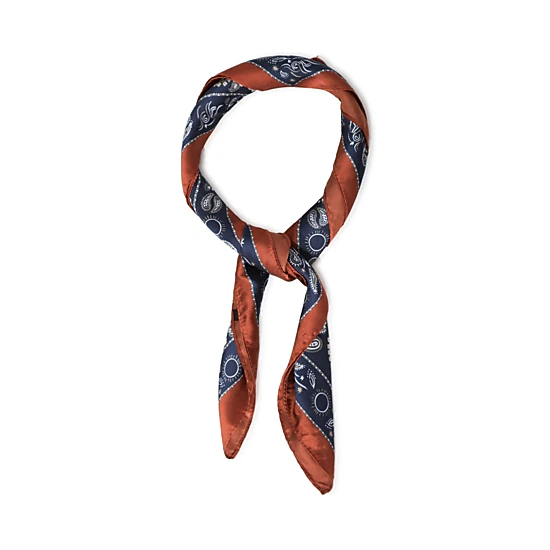 Belle & Bloom Library Romance Fashion Scarf