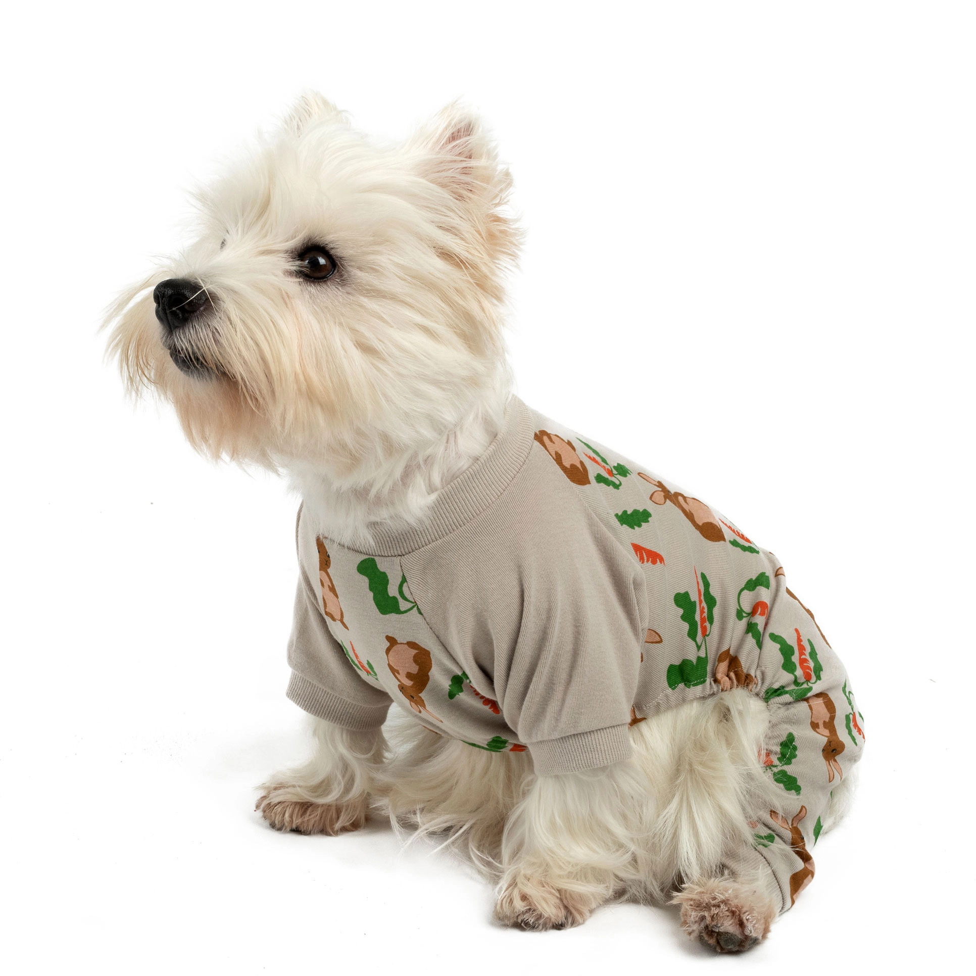 Leveret Dog Cotton Beige Easter Bunny Rabbit Pajamas