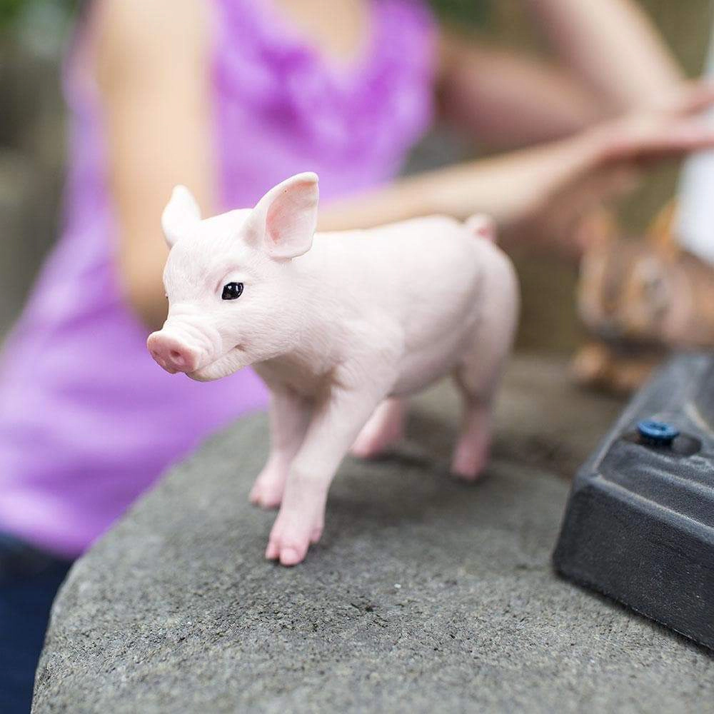Safari Ltd. - Piglet Kids Toy Figure