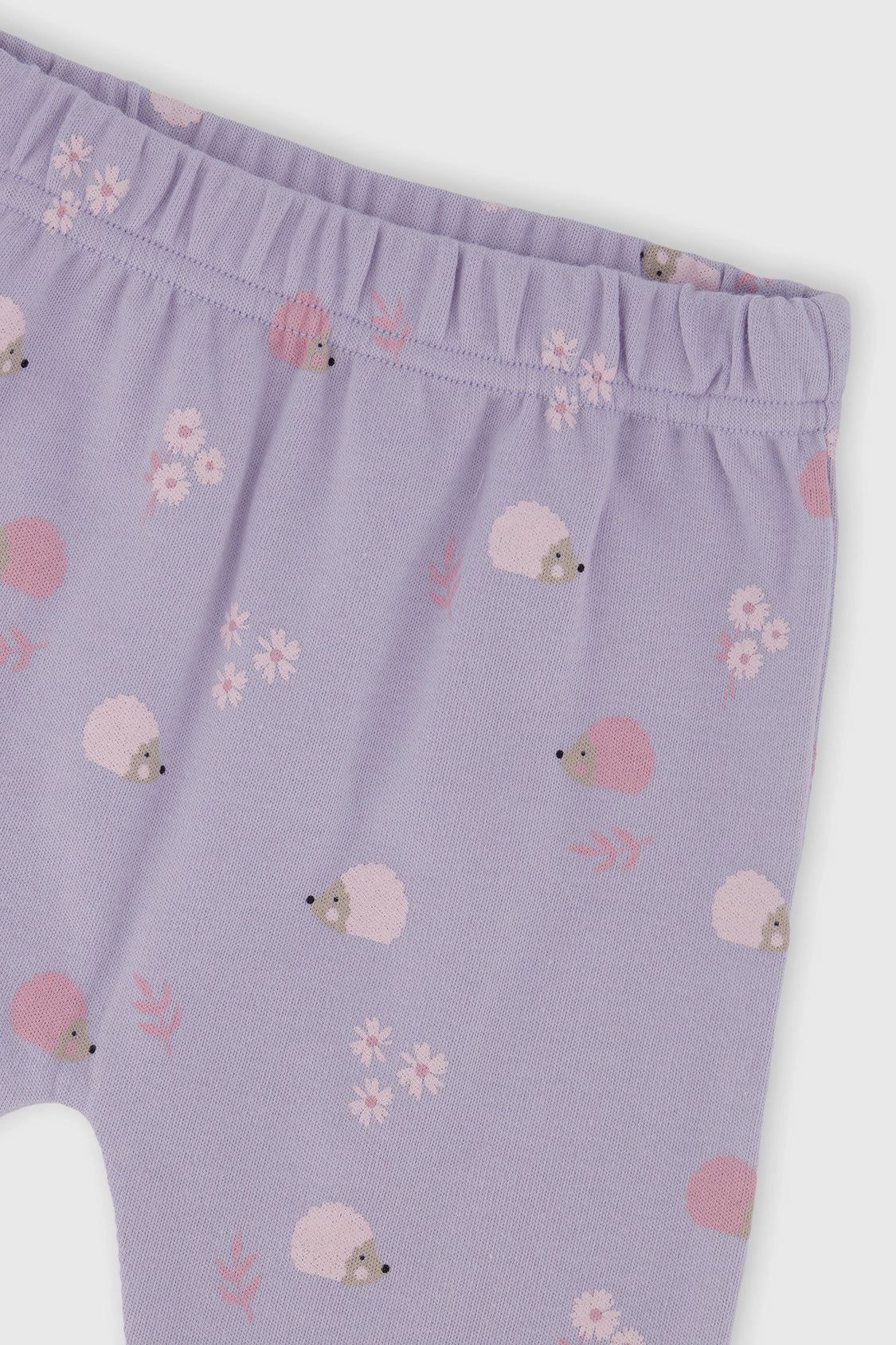 Deux par Girls Organic Cotton Hedgehog Detail Pants and Top Set with Floral Print