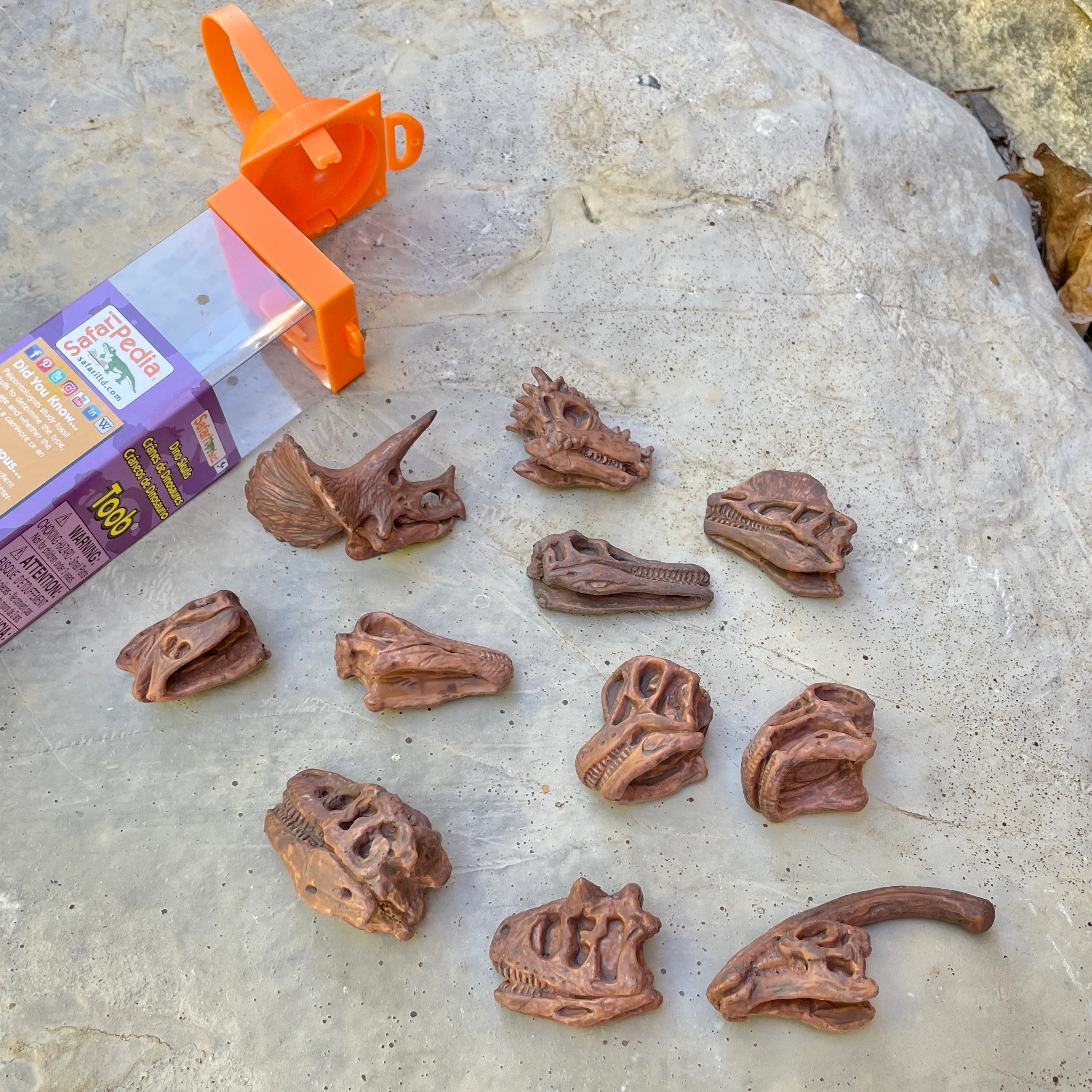 Safari Ltd. - Dinosaur Skulls TOOB - contains 11 Mini Figurines