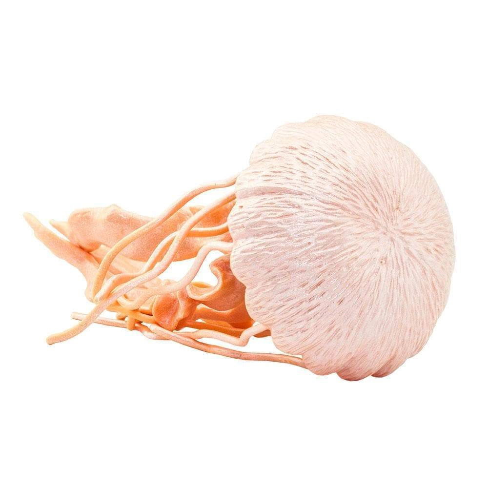 Safari Ltd. - Jellyfish Kids Toy Figure