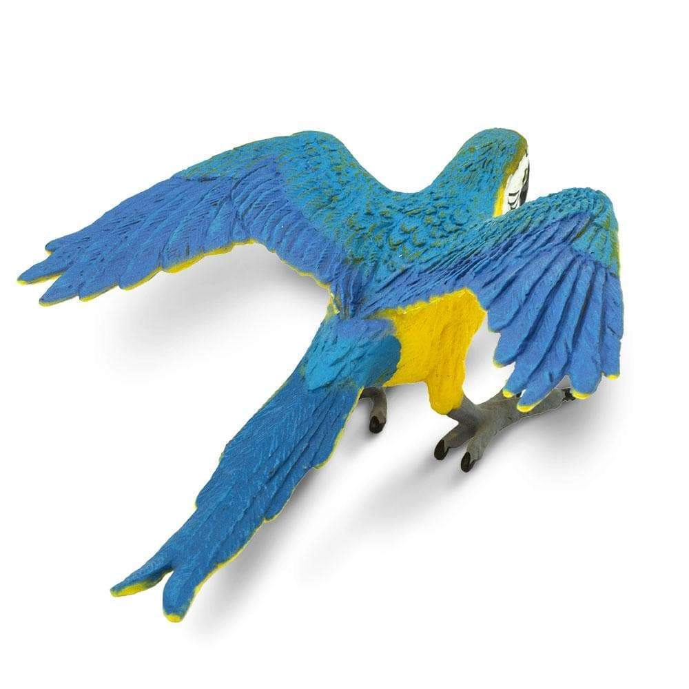 Safari Ltd. - Blue & Gold Macaw Kids Toy Figure