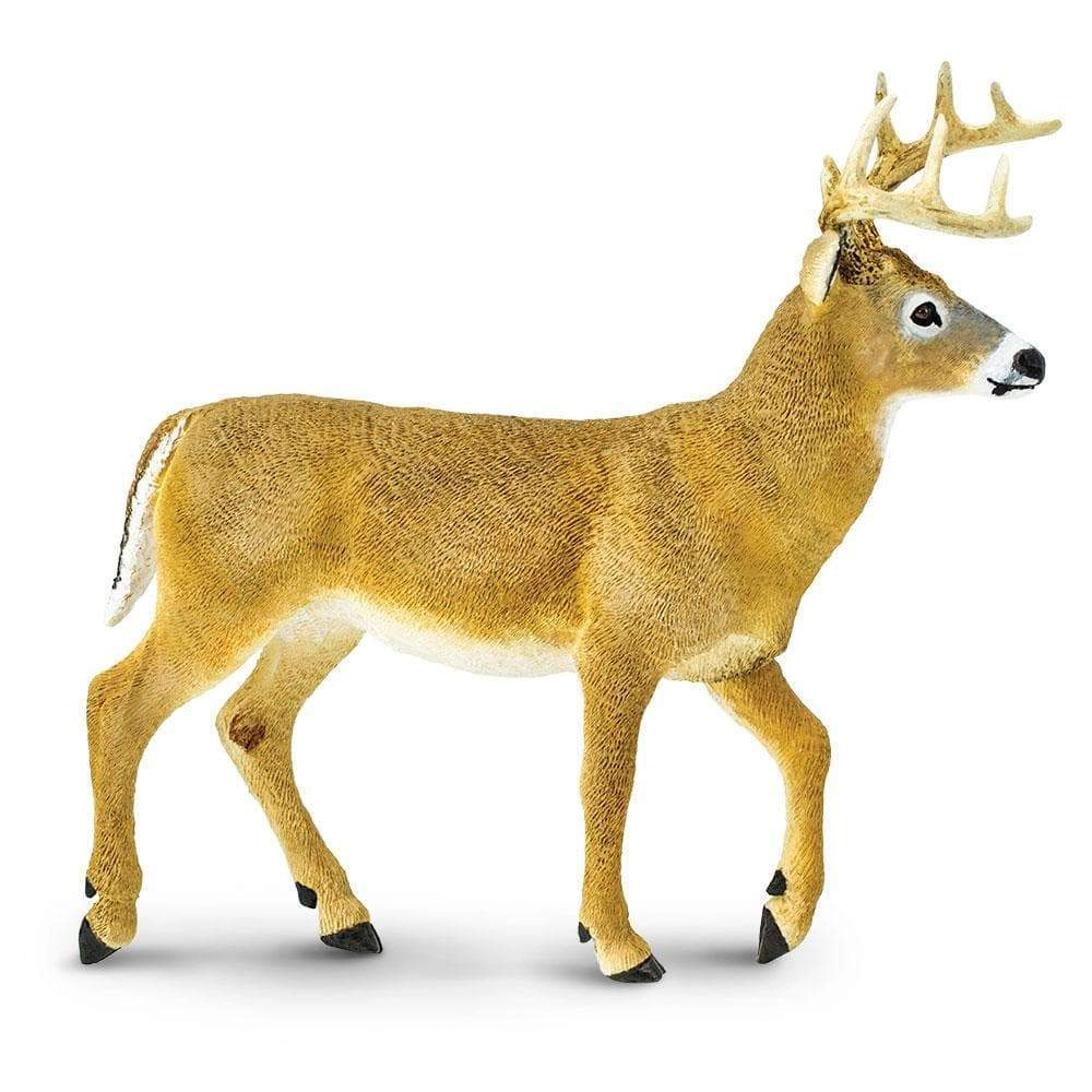 Safari Ltd. - Whitetail Deer Buck Kids Toy Figure