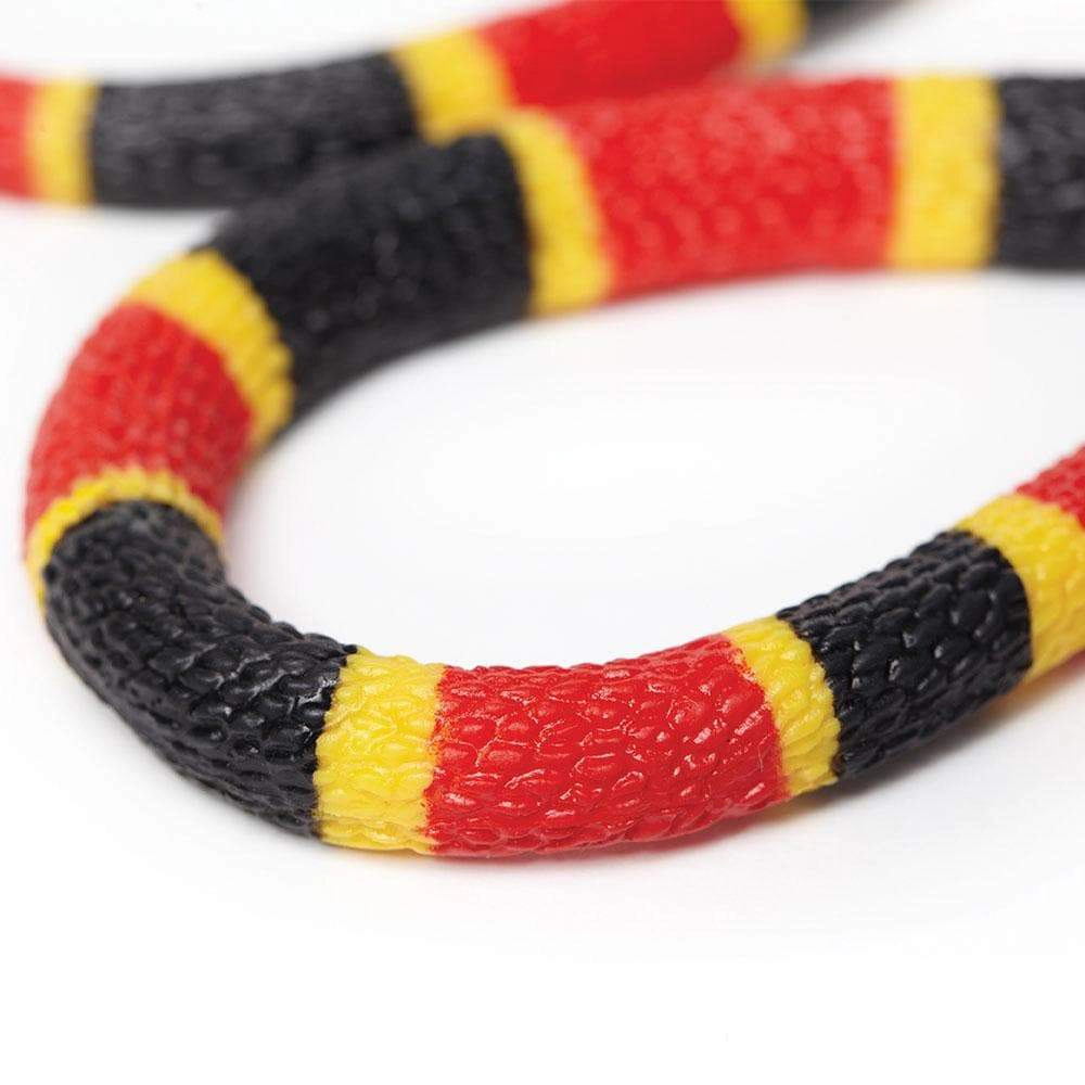 Safari Ltd. - Coral Snake Baby Kids Toy Figure