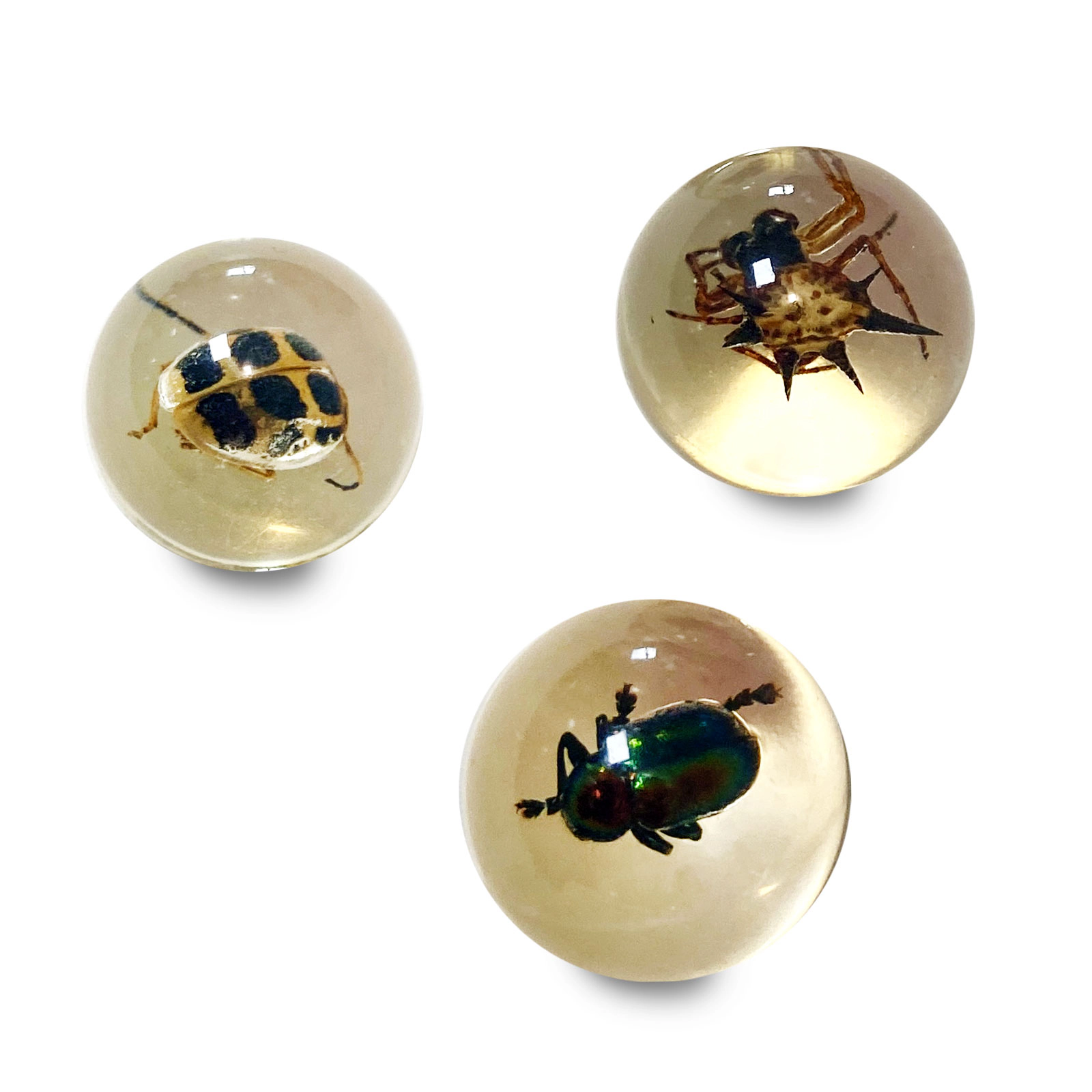 Geoworld - Bug Marbles - Kids Toy Set