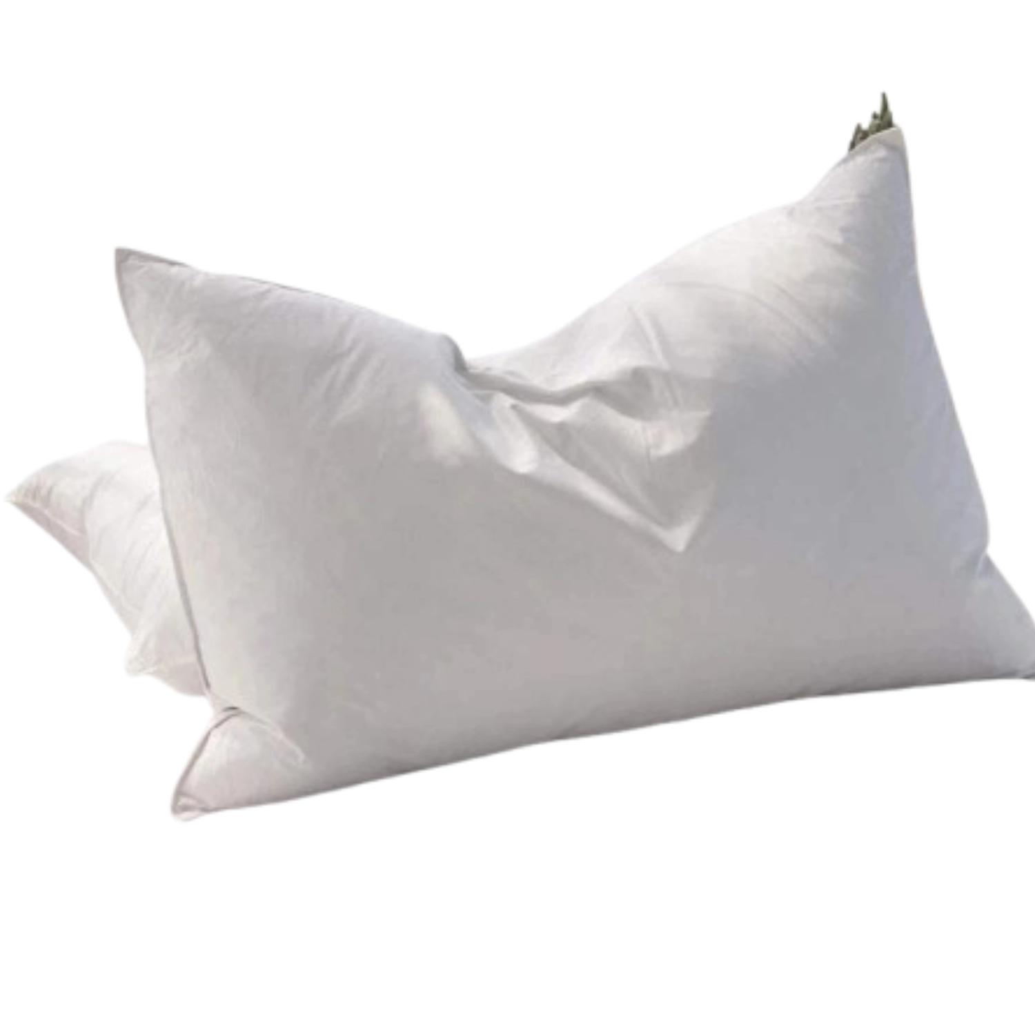 SS Design 20" X 30" Queen Goose Down and Feather Bed Pillow