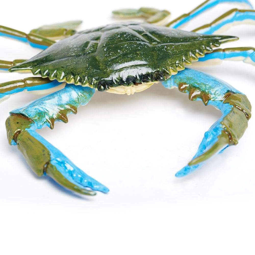 Safari Ltd. - Blue Crab Kids Toy Figure