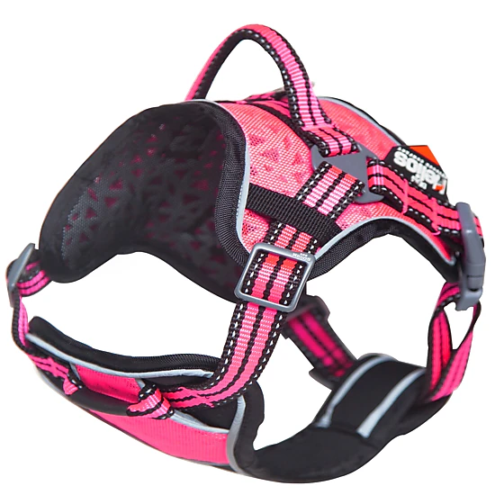 Dog Helios ® Dog Chest Compression Pet Harness and Leash Combo - JCPenney