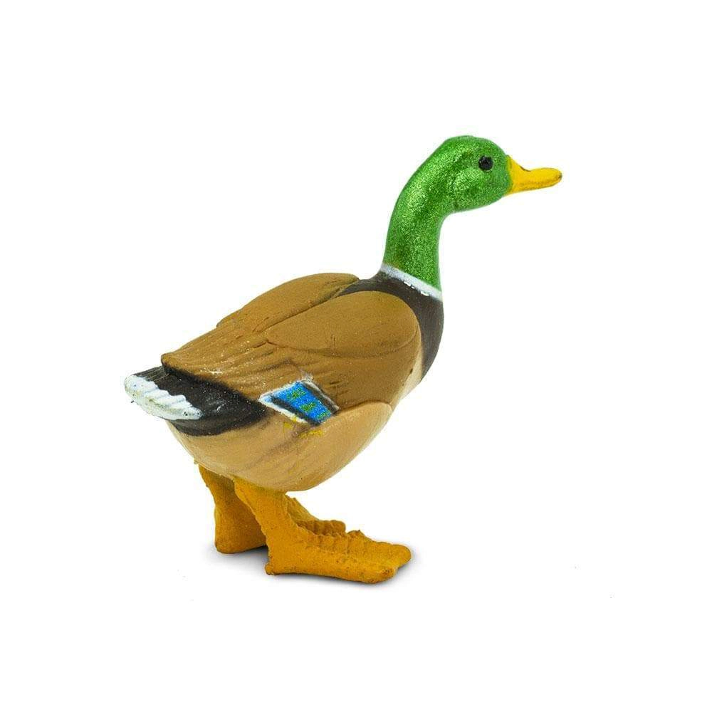 Safari Ltd. - Mini Duck Kids Toy Figure