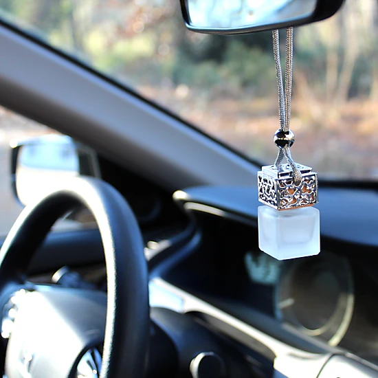 Plantlife Silver Hanging Passive Diffuser