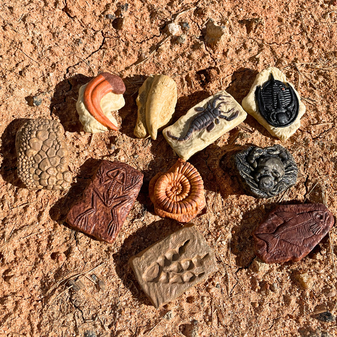 Safari Ltd. - Ancient Fossils TOOB - contains 10 Mini Figurines