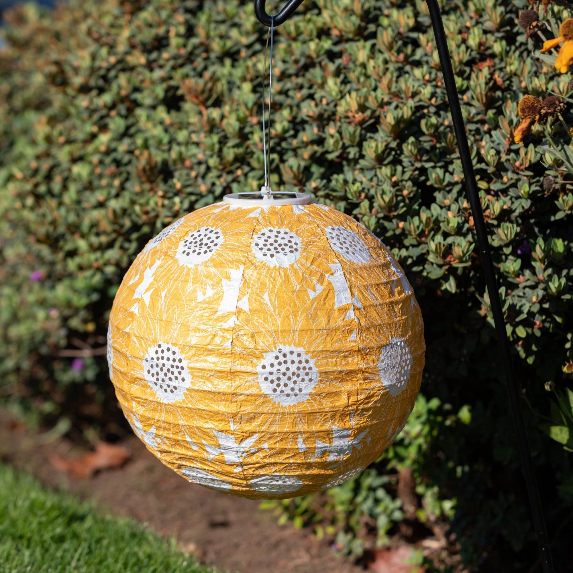 Allsop Home & Garden Soji Stella Sunflower 12 Solar Lantern