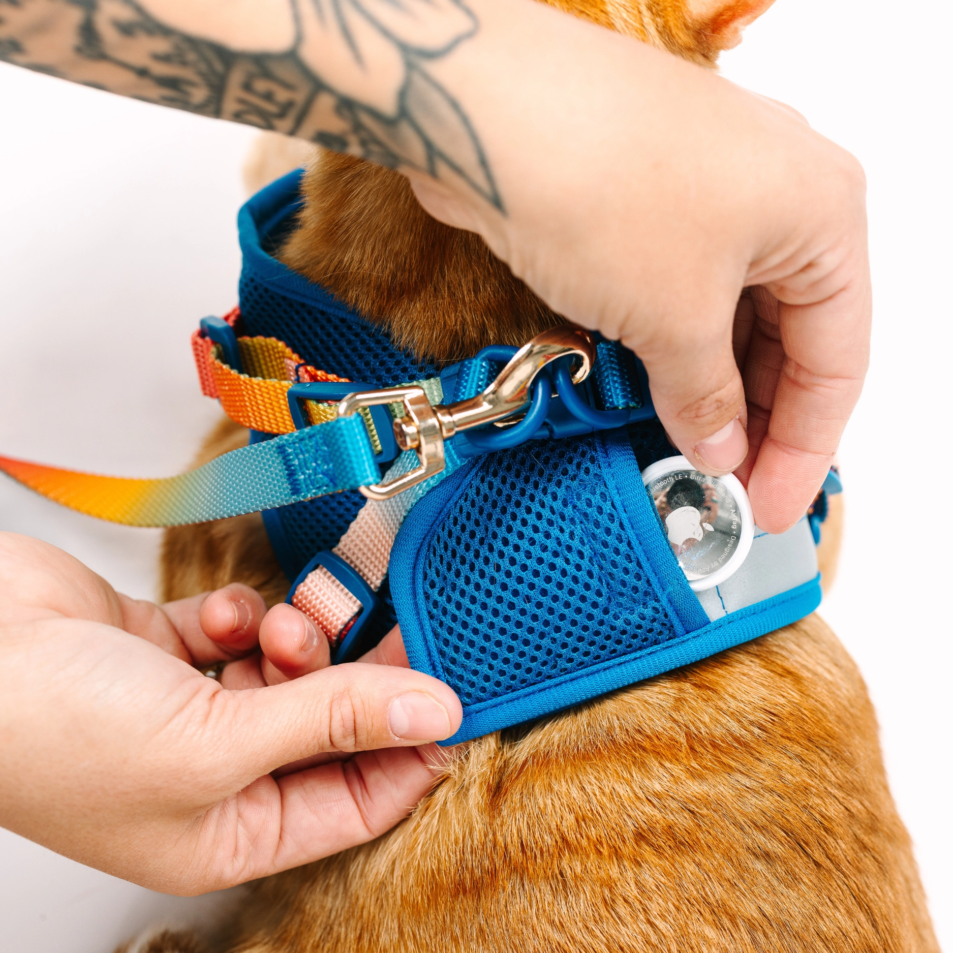 Pink Papyrus Cat Harness and Leash Set