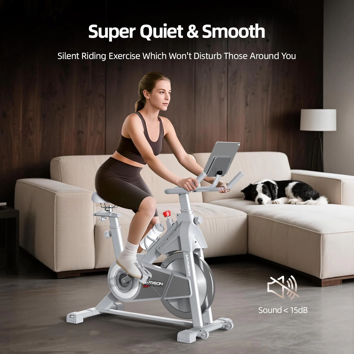 HARISON Magnetic Exercise Bike for Home 380 LB Capacity with Bluetooth, Stationary Bike with iPad Holder