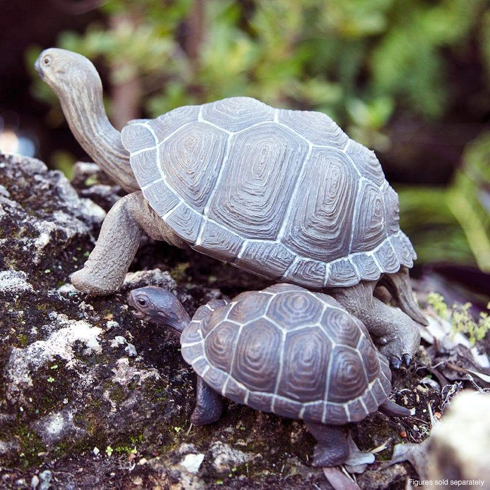 Safari Ltd. - Tortoise Baby Kids Toy Figure