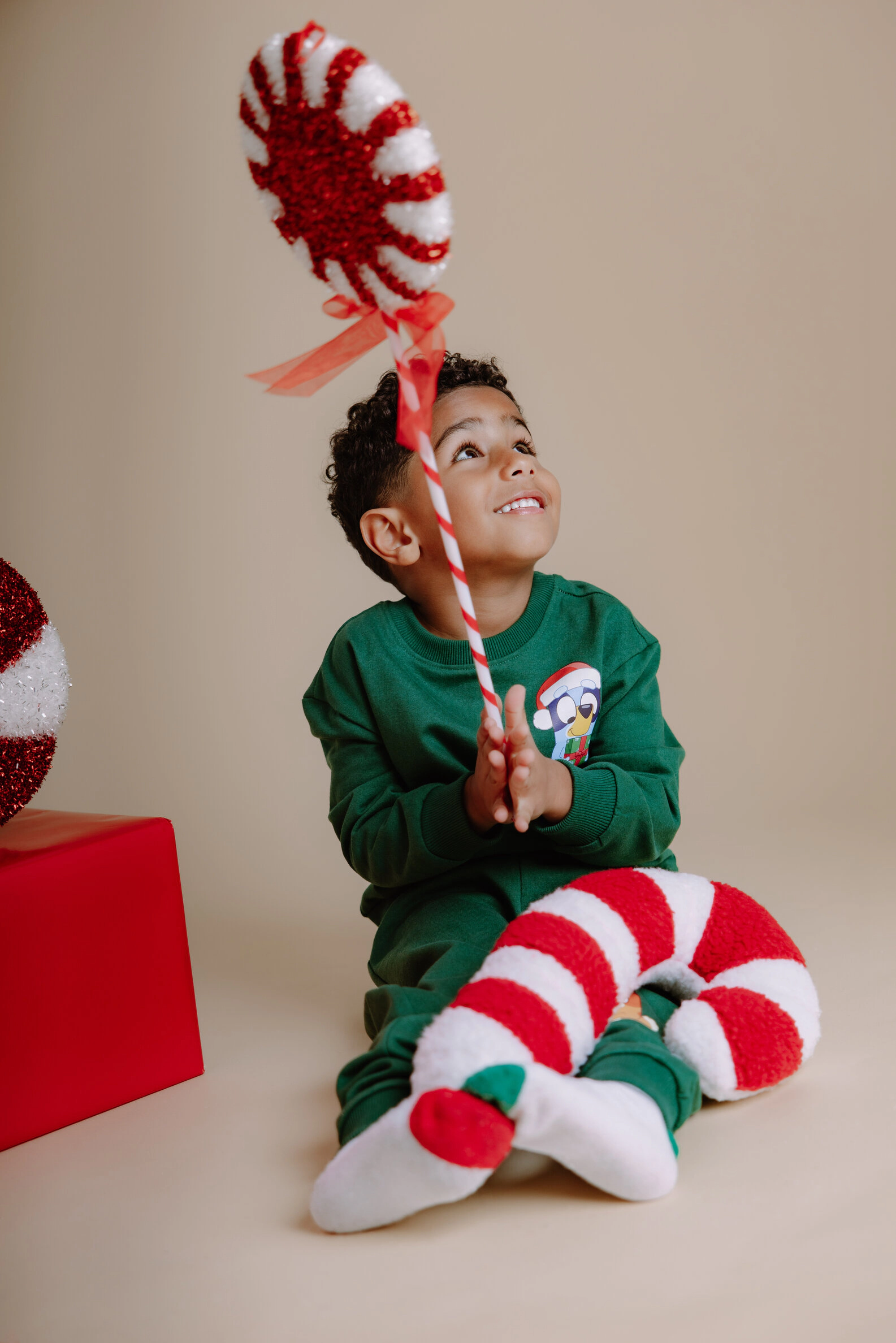 Bluey Boys' 2-Piece Fleece Sweatshirt and Pants Set
