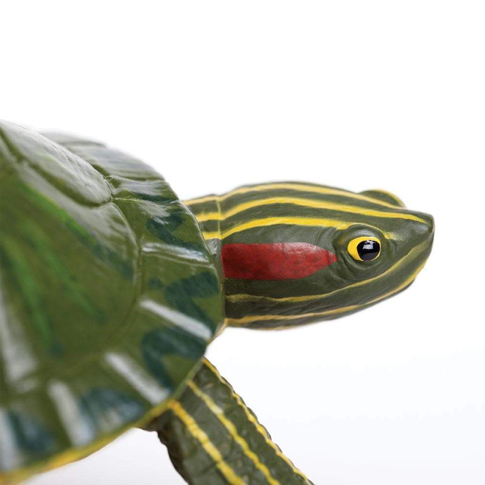 Safari Ltd. - Red-Eared Slider Turtle Kids Toy Figure