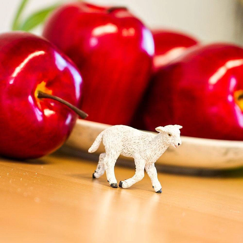 Safari Ltd. - Lamb Kids Toy Figure