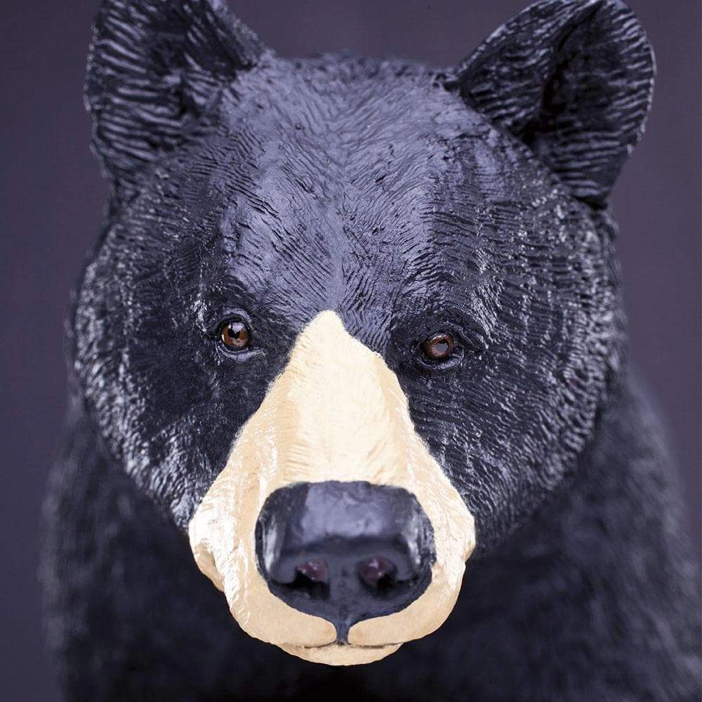 Safari Ltd. - Black Bear Kids Toy Figure