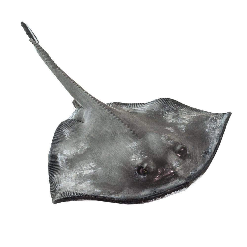 Safari Ltd. - Sting Ray Kids Toy Figure