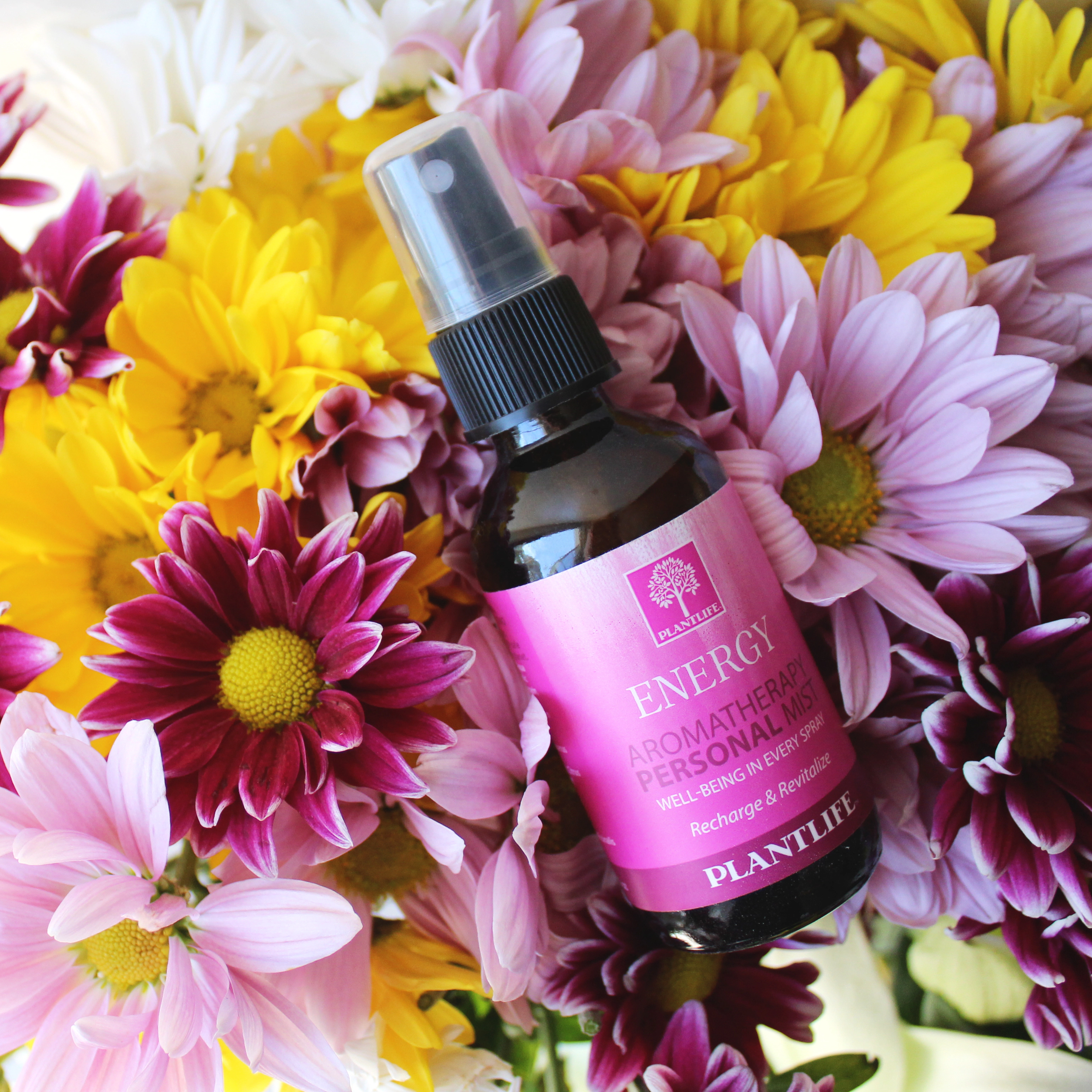 Plantlife Energy Personal Mist