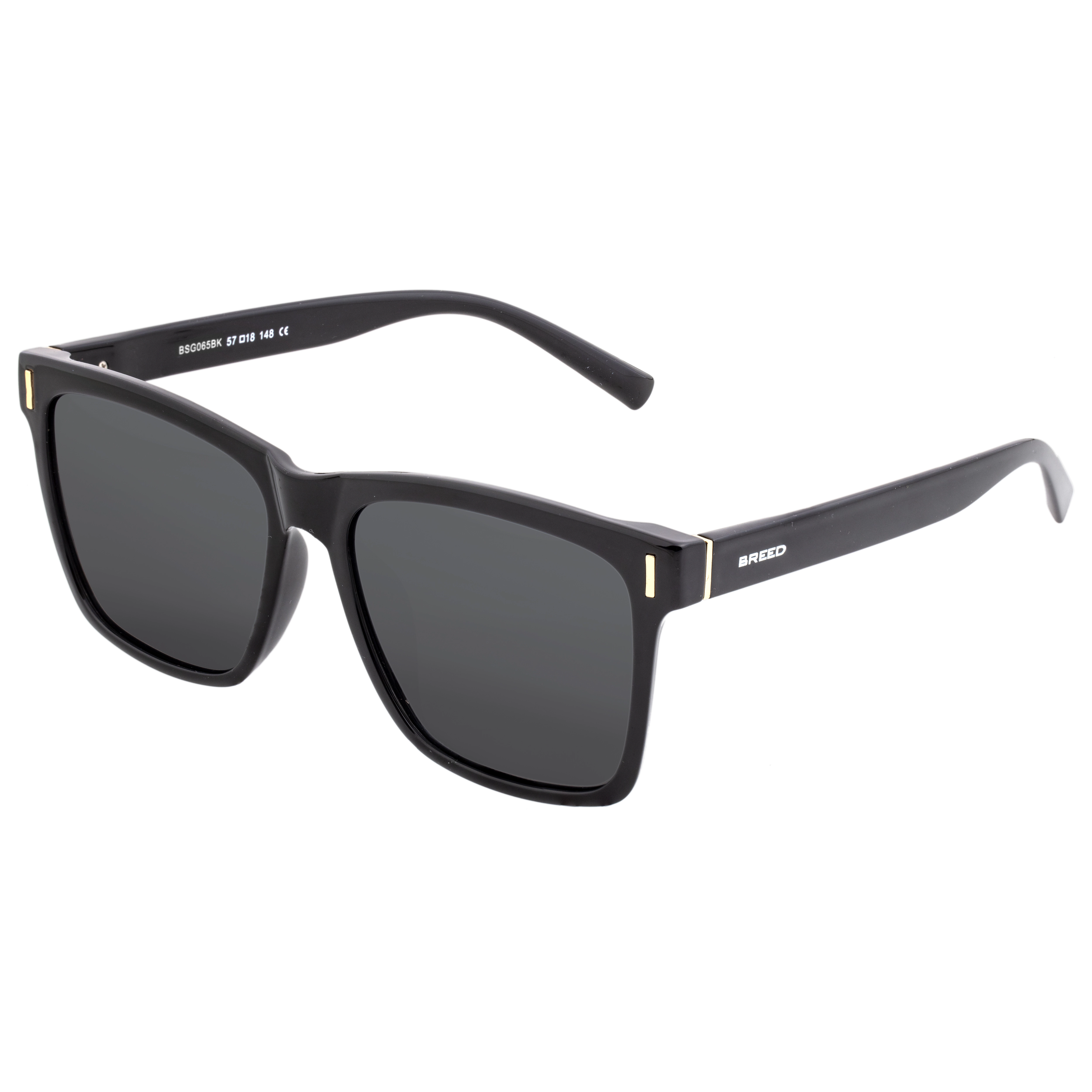 BREED Pictor Mens Polarized Sunglasses