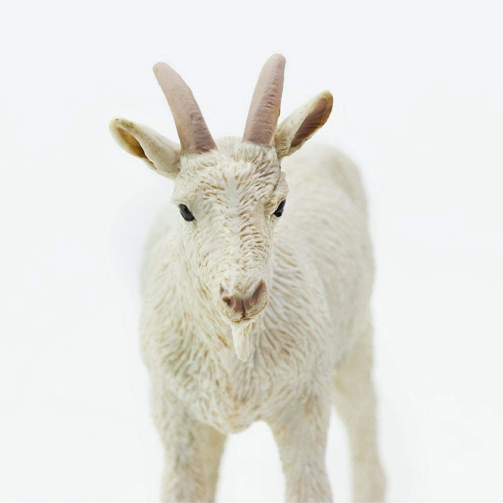 Safari Ltd. - Nanny Goat Kids Toy Figure