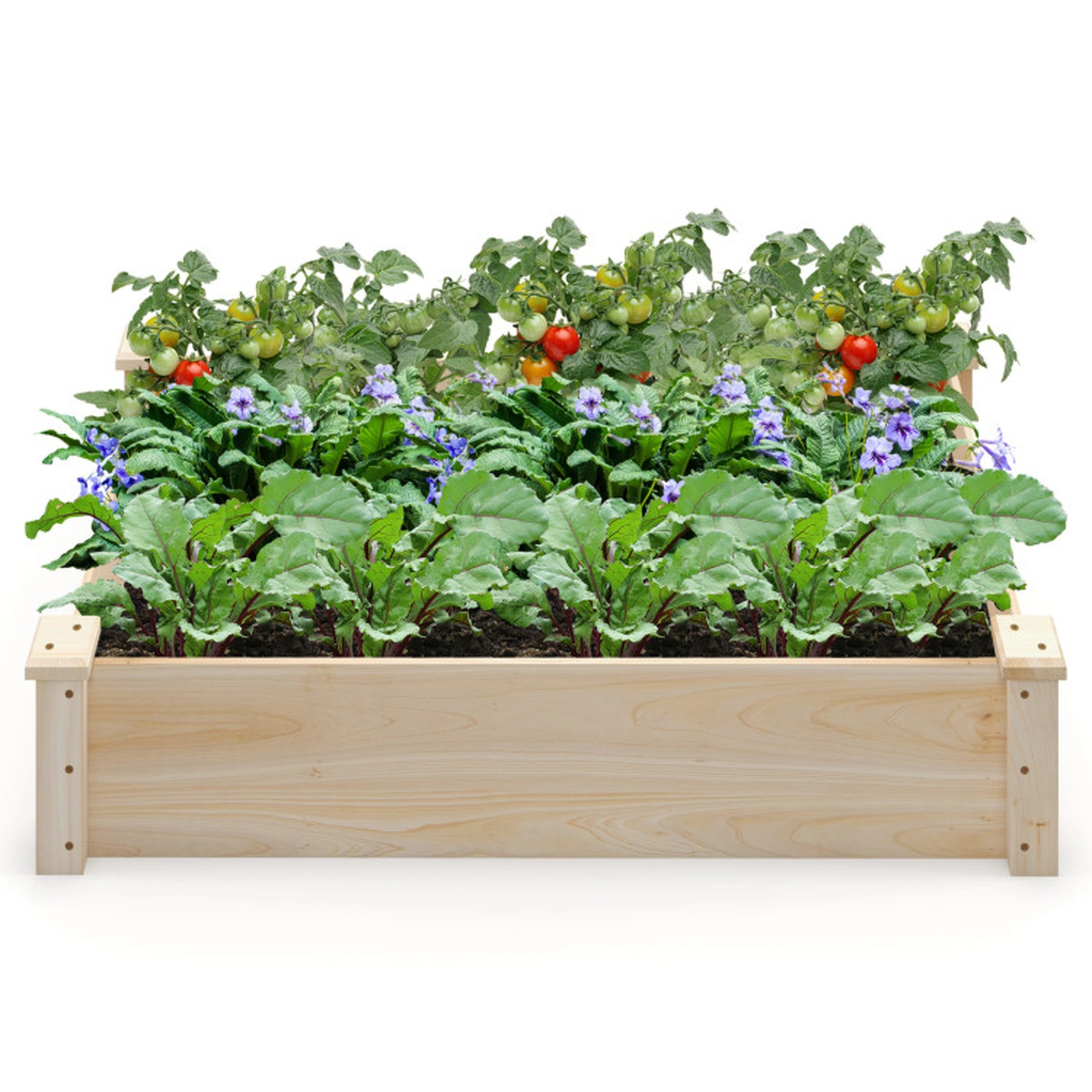 SUGIFT Fir Wood Raised Garden Bed Square Planter Box 10-in Tall Natural