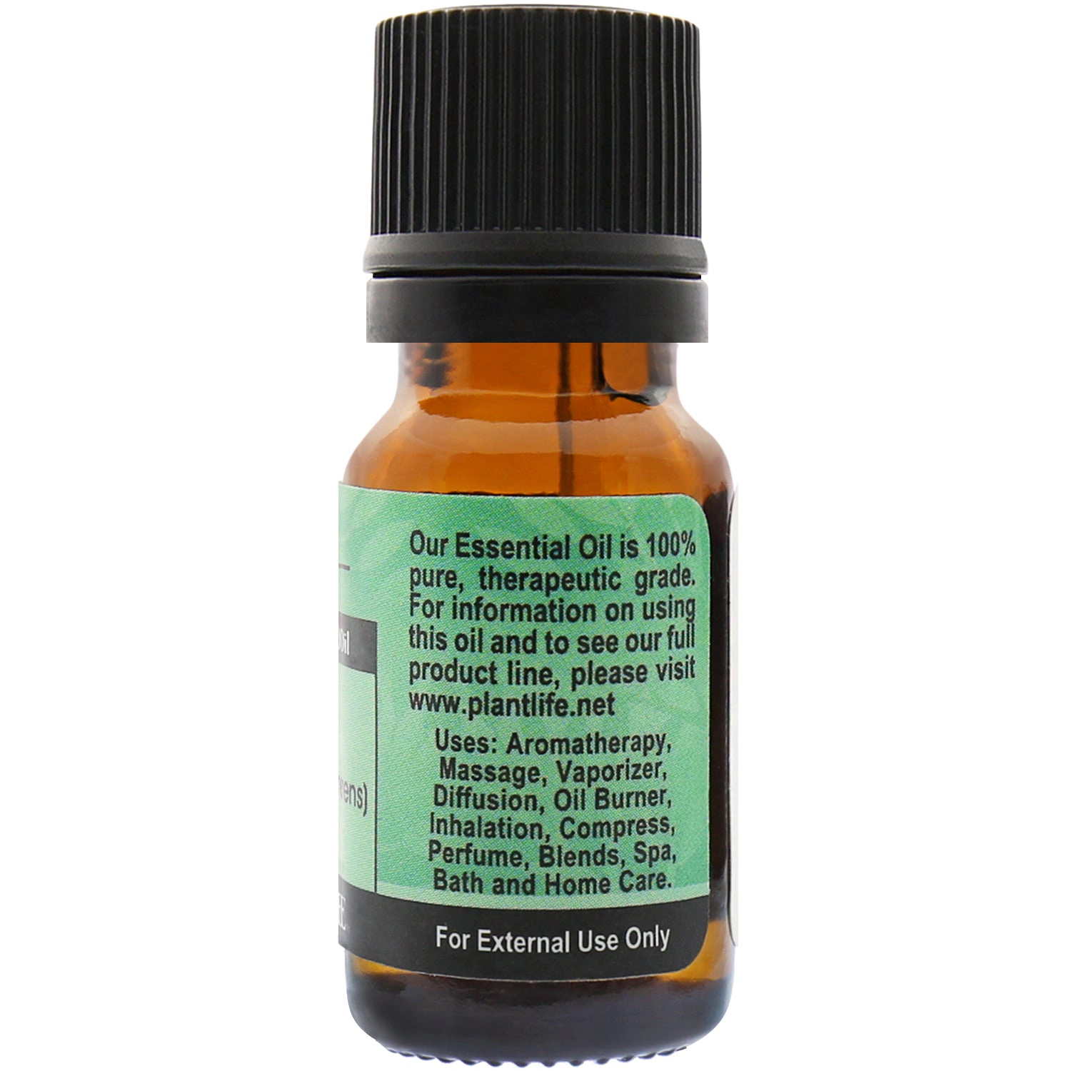 Plantlife Cypress Essential Oil