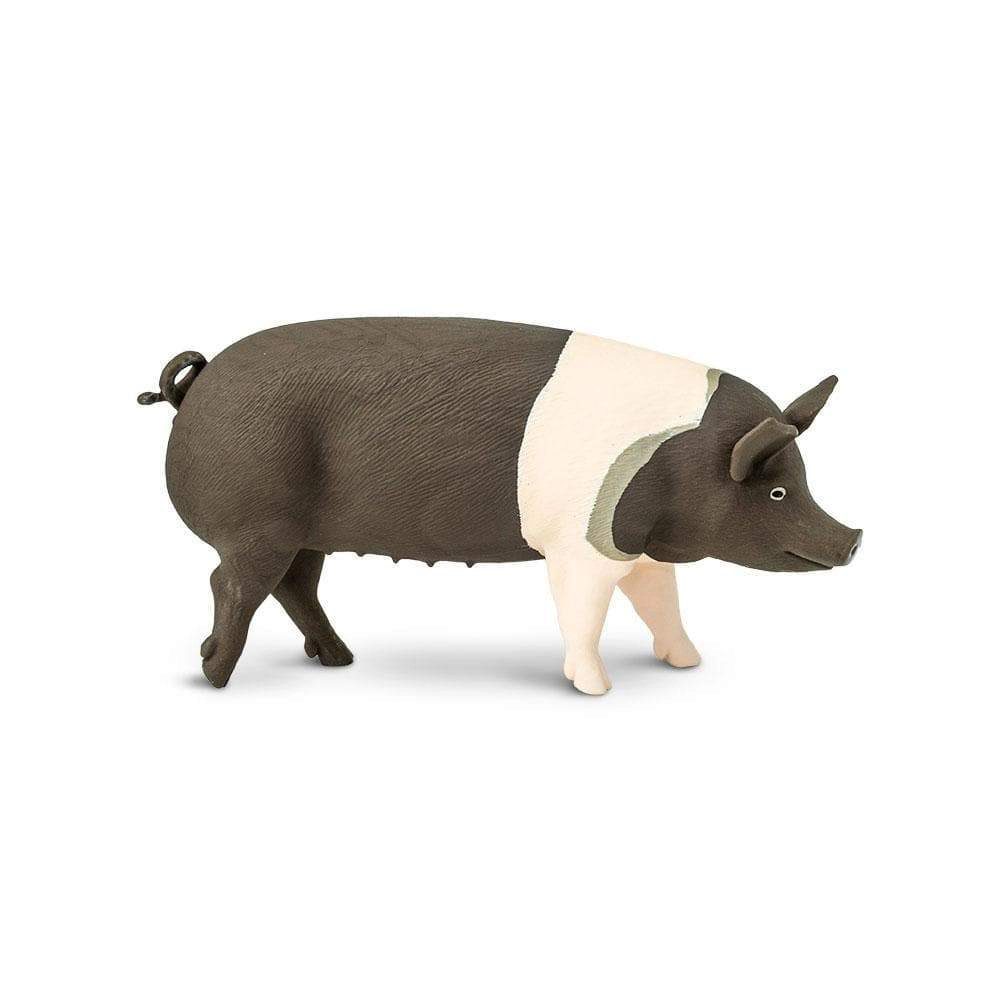 Safari Ltd. - Hampshire Pig Kids Toy Figure