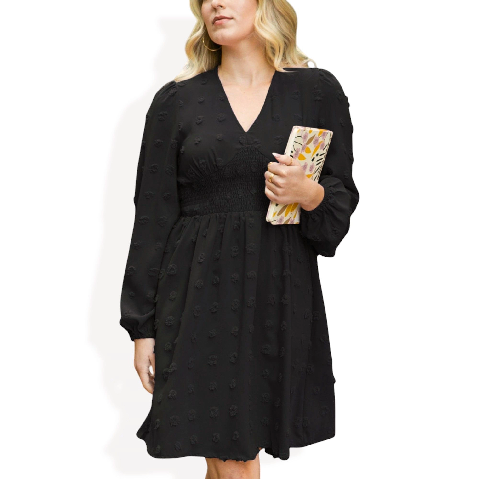 Anna-Kaci Womens Clip Dot Shirred Waist V-Neck Long Sleeve Flowy Above-Knee Dress - Black
