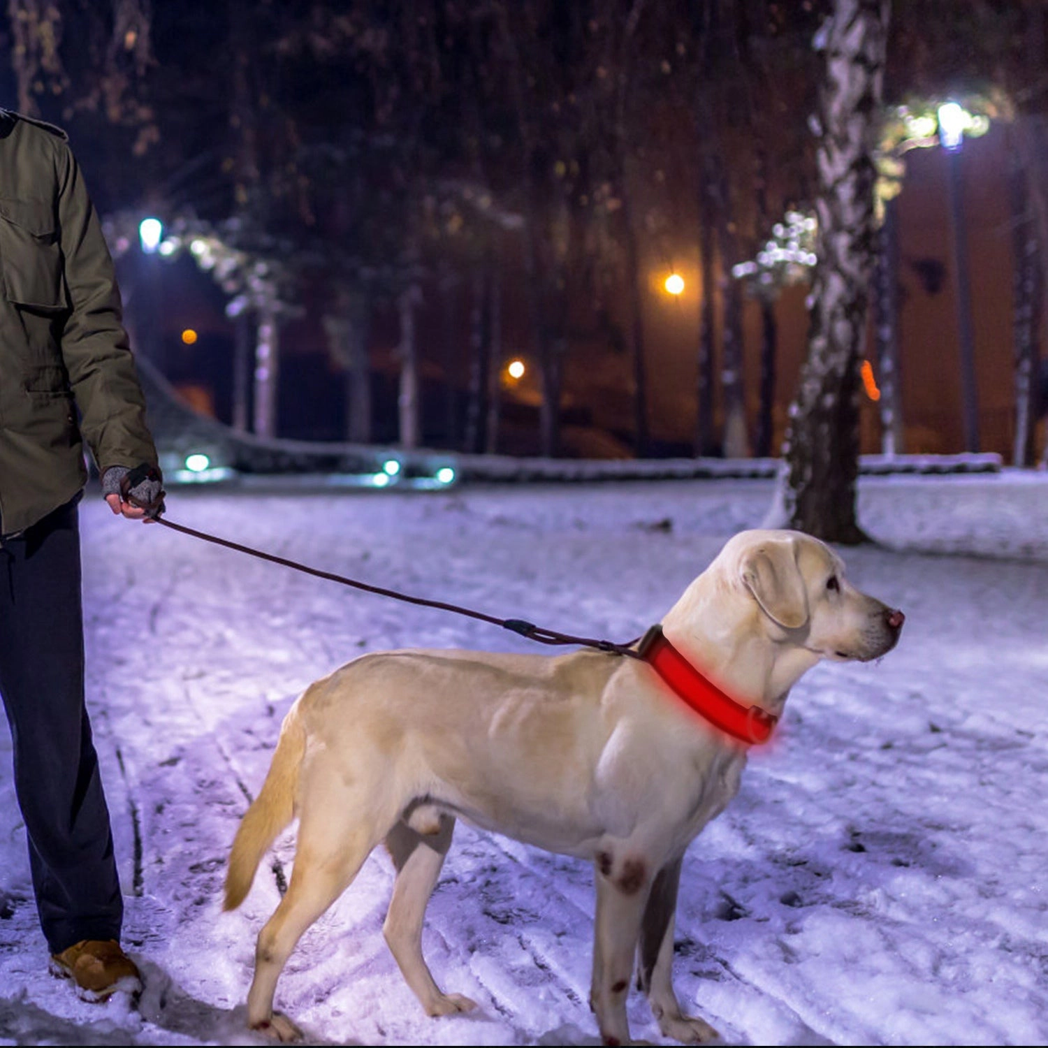 GBruno USB Rechargeable LED Dog Safety Collar