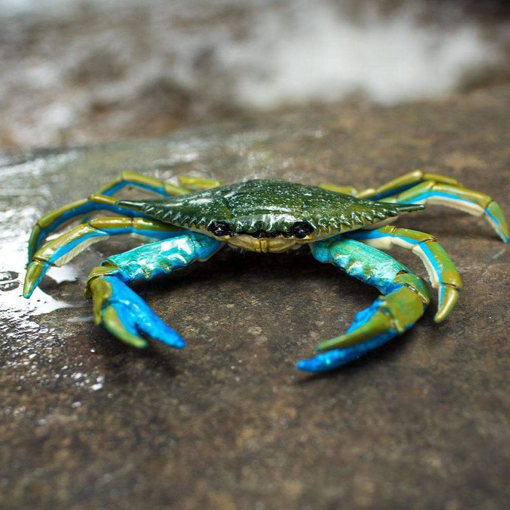 Safari Ltd. - Blue Crab Kids Toy Figure
