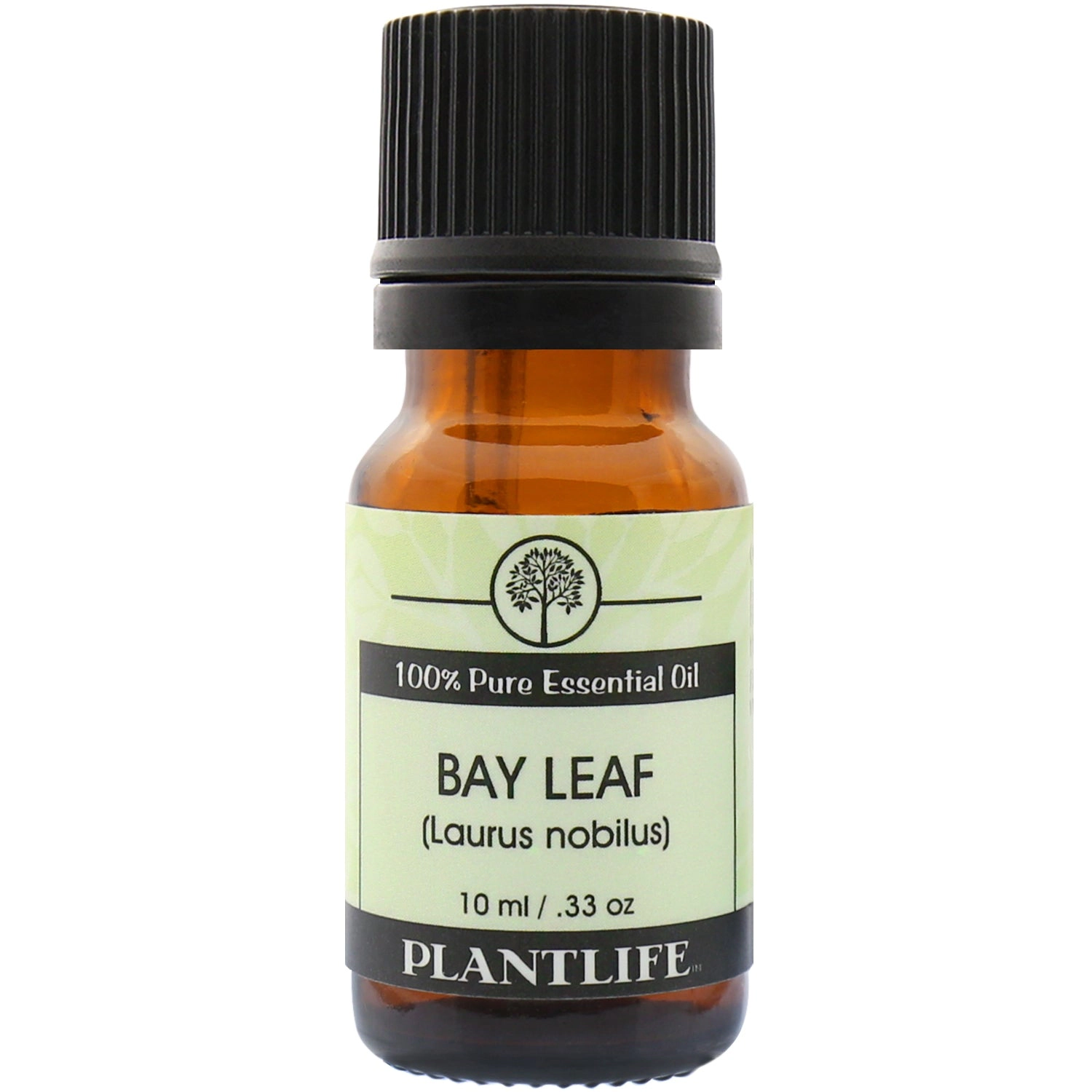 Plantlife Bay Leaf Essential Oil