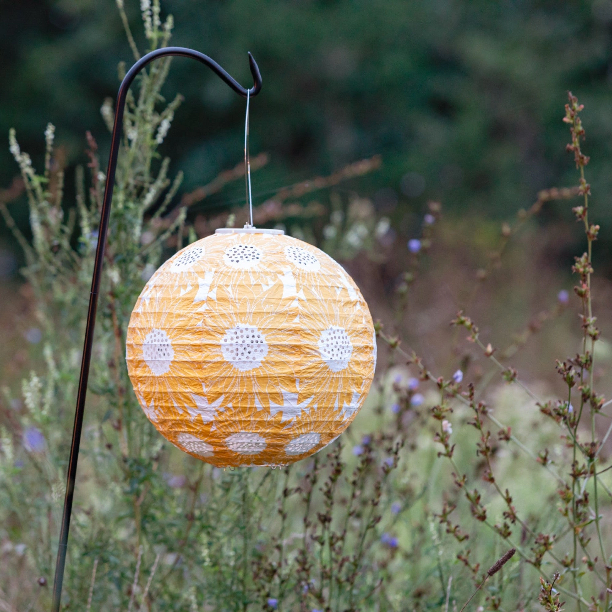 Allsop Home & Garden Soji Stella Sunflower 12 Solar Lantern