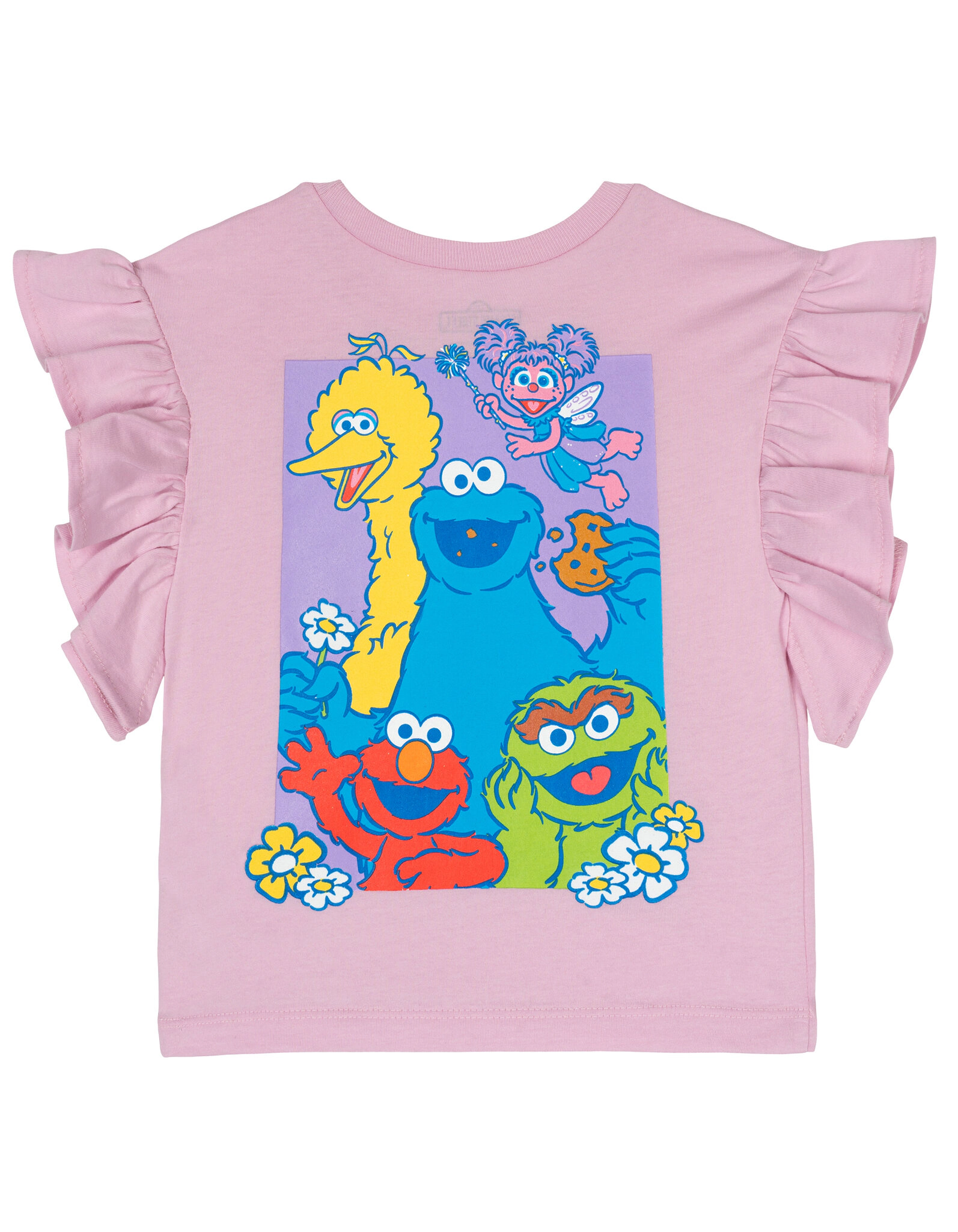 Sesame Street Girls' T-Shirt & Shorts Set