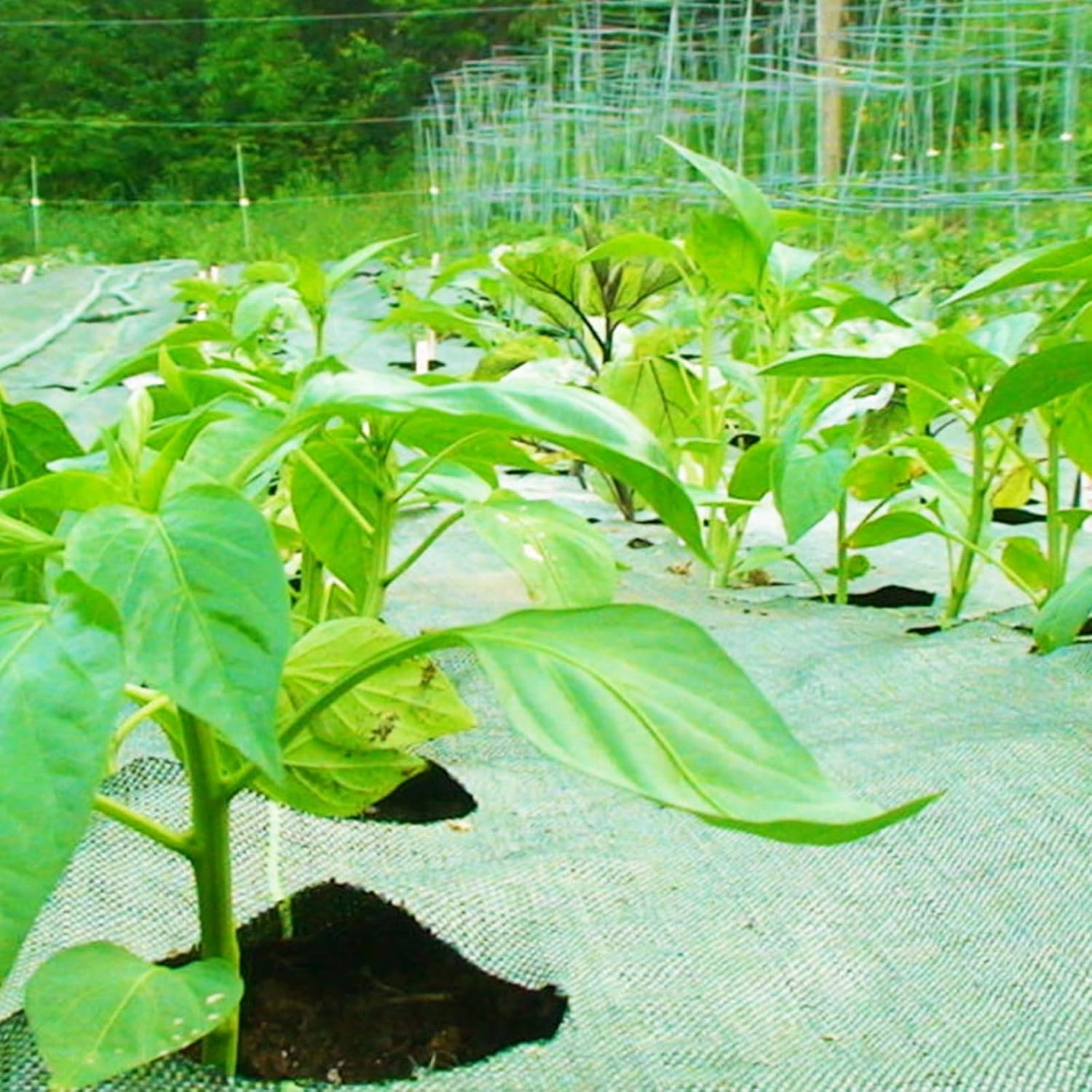 6x300ft Heavy-Duty Weed Barrier Fabric, 3.2oz, for Weed & Erosion Control under Mulch/Gravel/Driveway