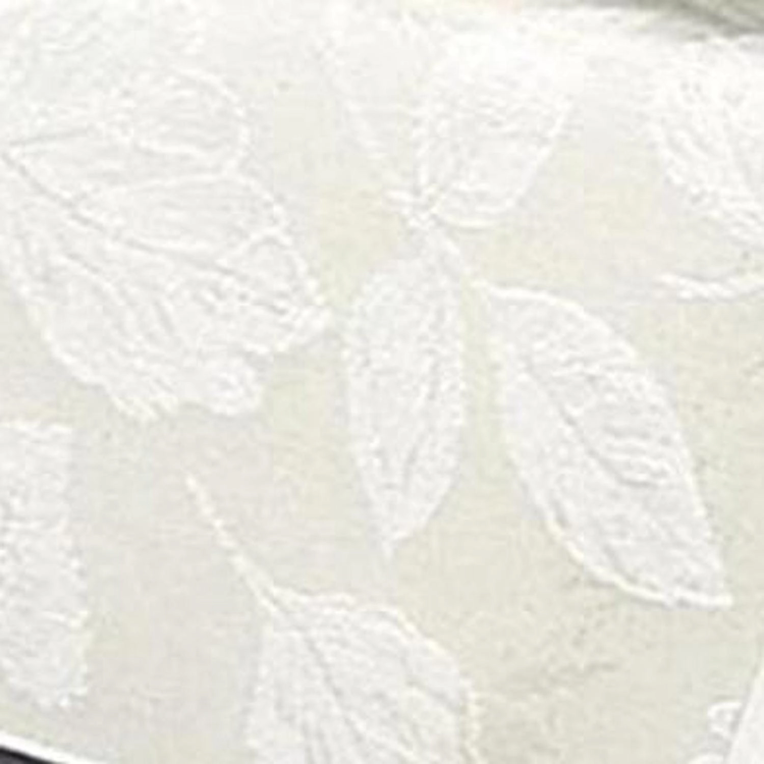 Carnation Home Fashions Oval-Shaped, Vinyl Tablecloth Protector