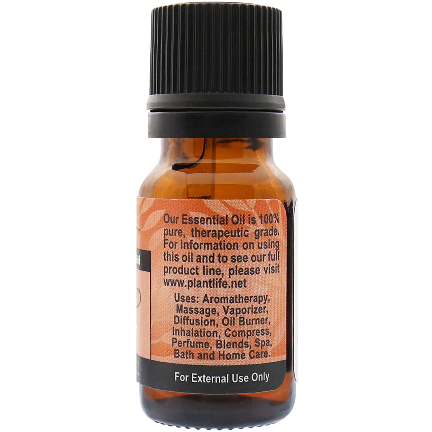 Plantlife Carrot Seed Essential Oil