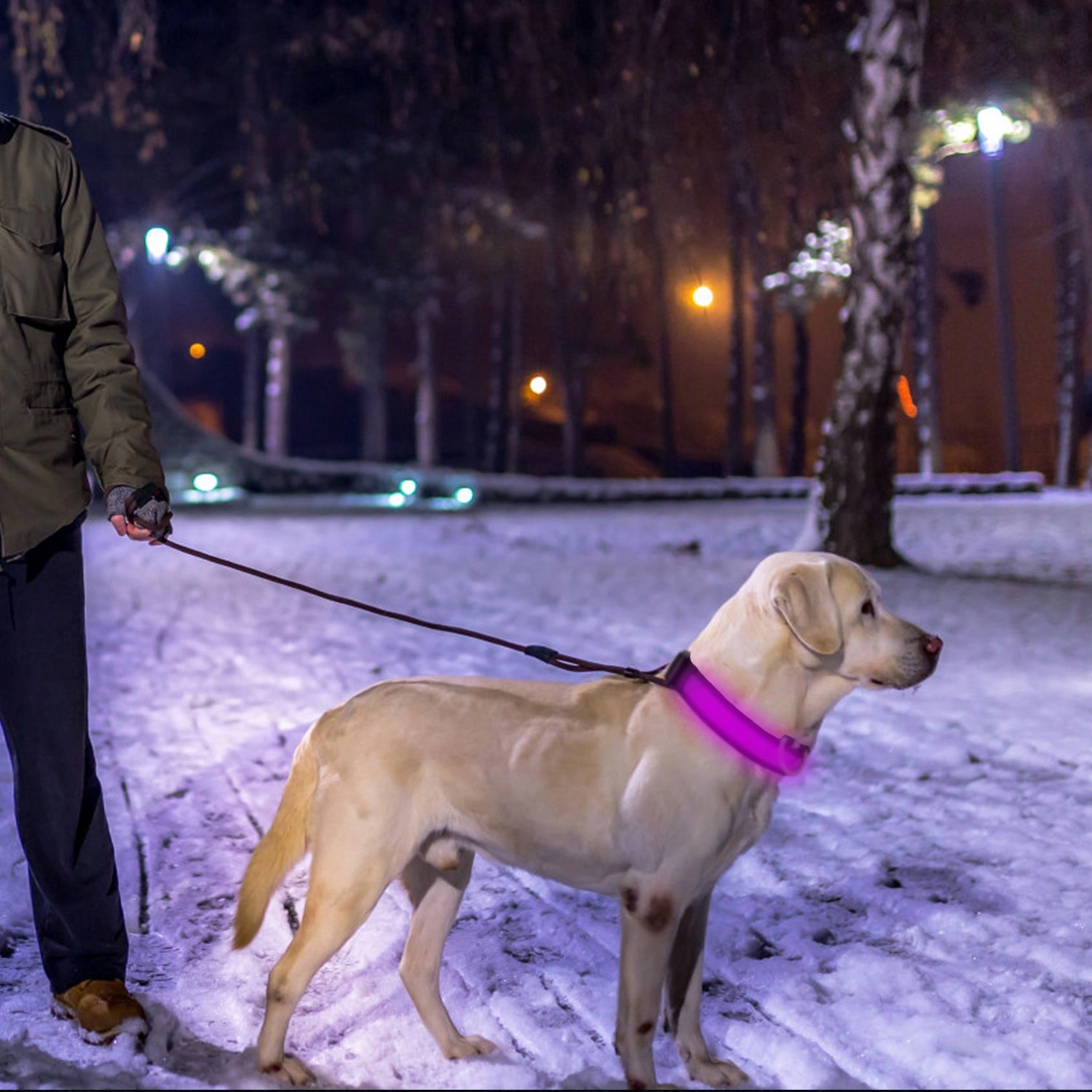 GBruno USB Rechargeable LED Dog Safety Collar