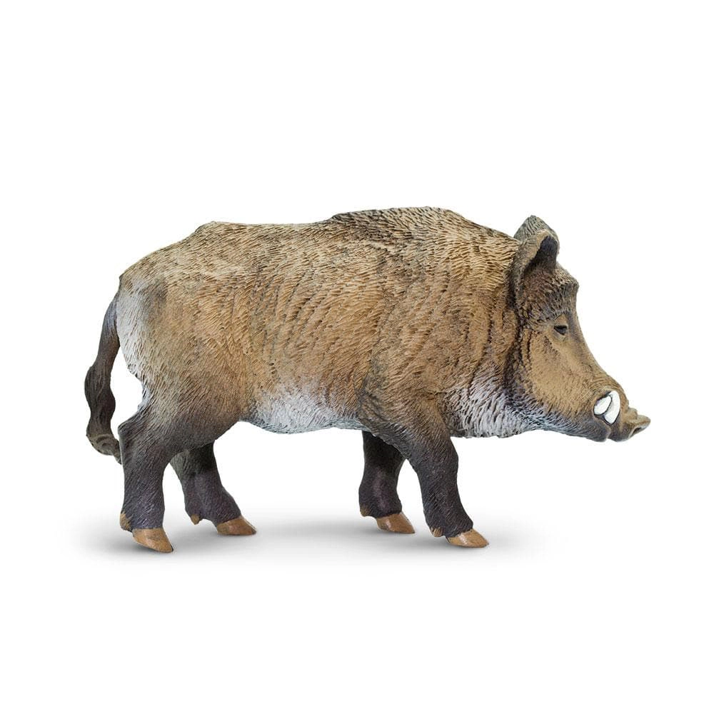 Safari Ltd. - Boar Kids Toy Figure