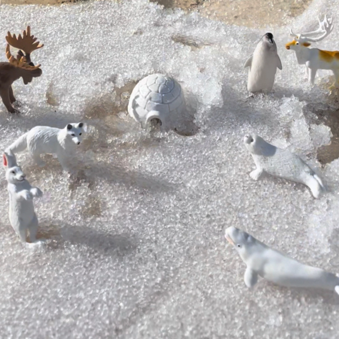 Safari Ltd. - Arctic TOOB - contains 10 Mini Figurines