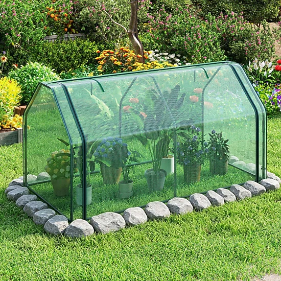 SUGIFT Green Portable Mini Greenhouse with PE Cover and Zippered Roll-Up Door 71-in W 36-in D 36-in H