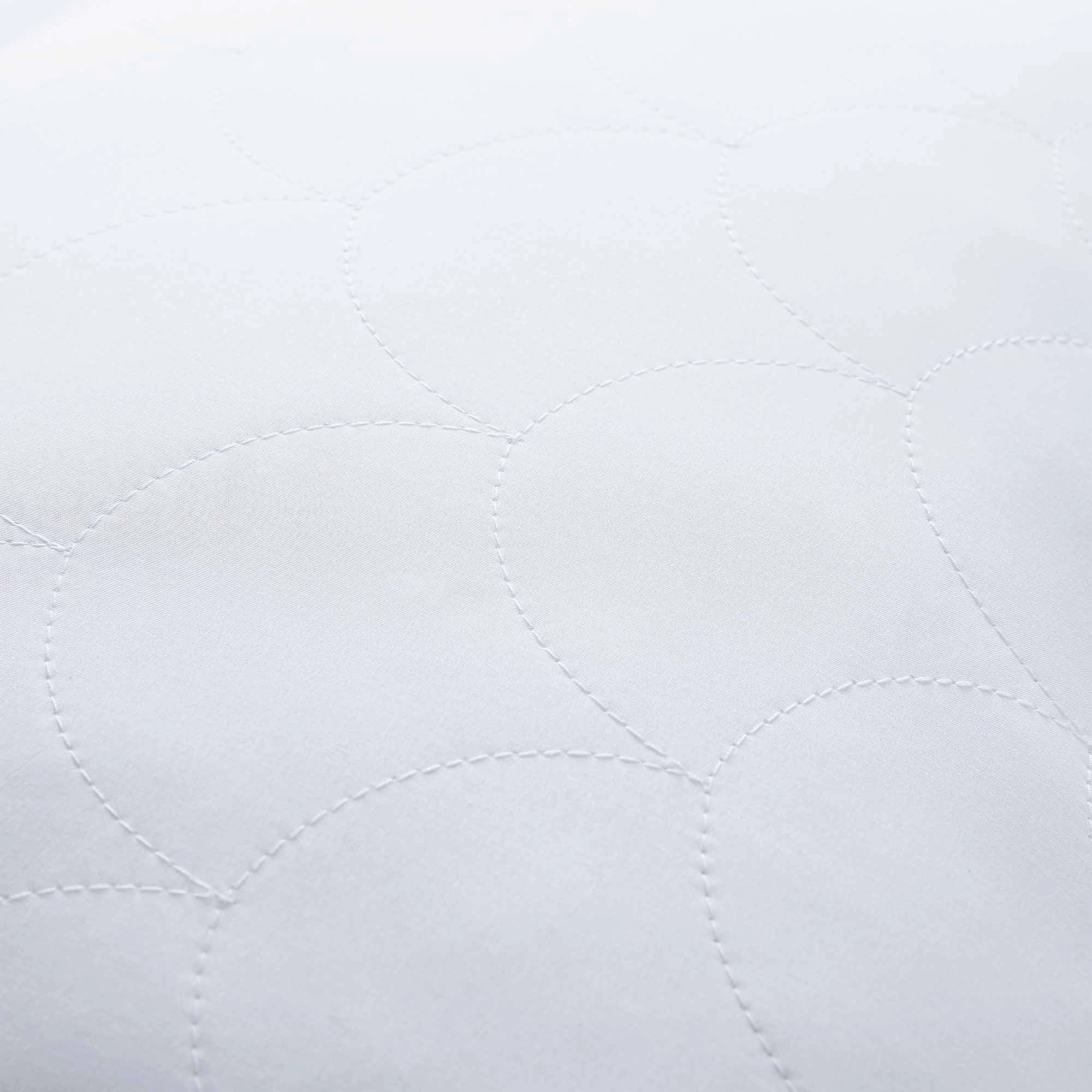 PEACENEST Natural Goose Feather Pillows with Soft Quilted Cover,2-Pack