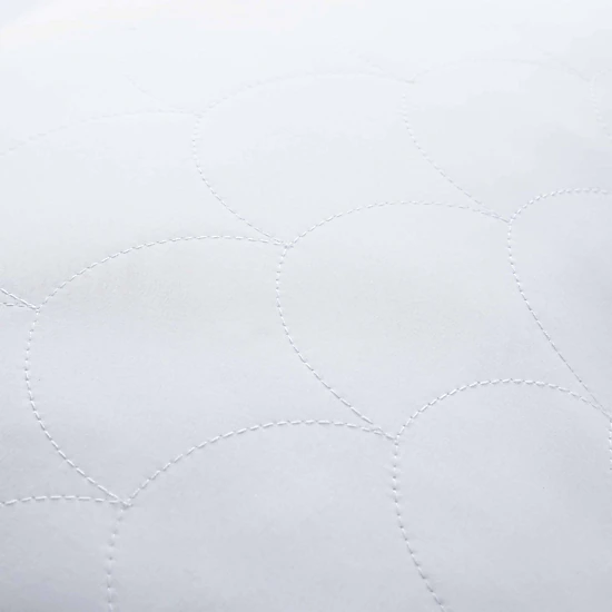 PEACENEST Natural Goose Feather Pillows with Soft Quilted Cover,2-Pack