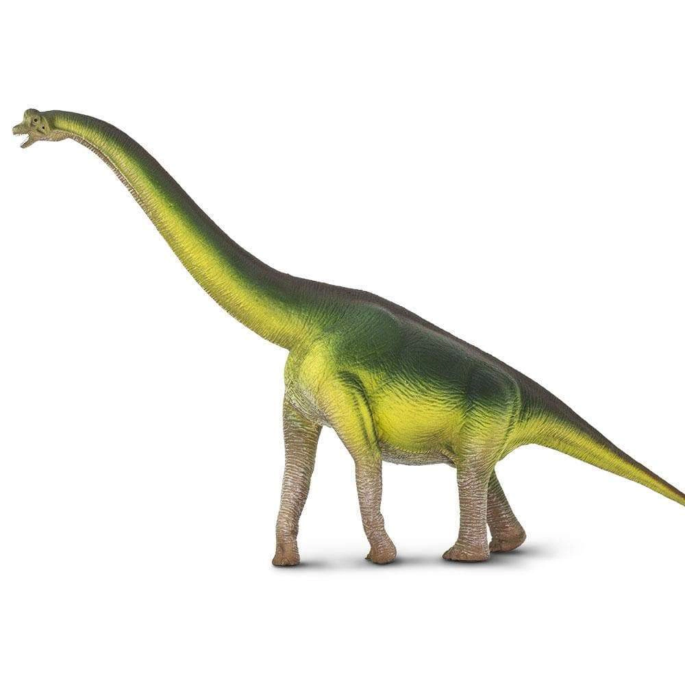 Safari Ltd. - Brachiosaurus Kids Prehistoric/Dinosaur Toy Figure