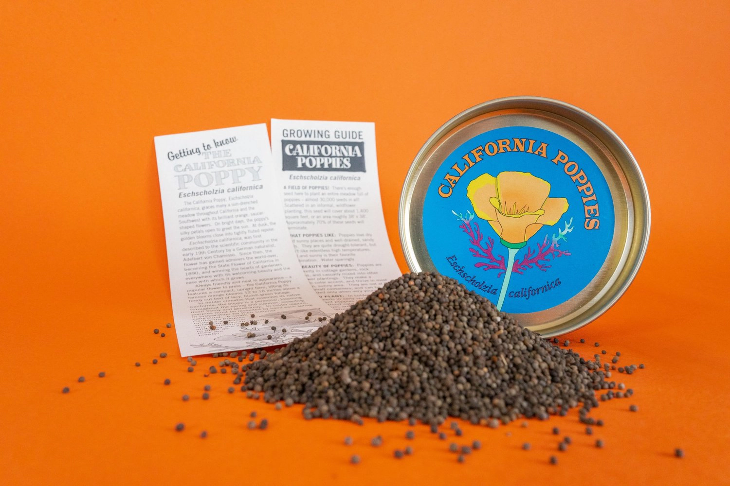 Jonsteen Company California Poppy Flower Seed Grow Kit - Eschscholzia californica, Approx. 30,000 Seeds
